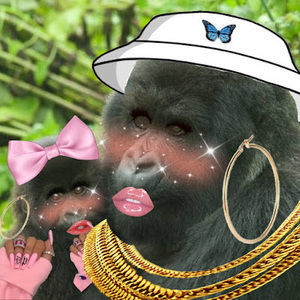 Meet your Posher, Summer